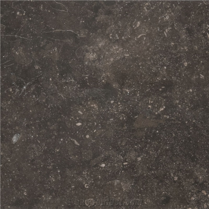 Noir Sully Limestone importance=
