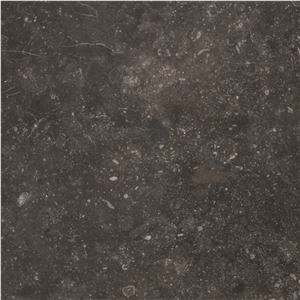 Noir Sully Limestone