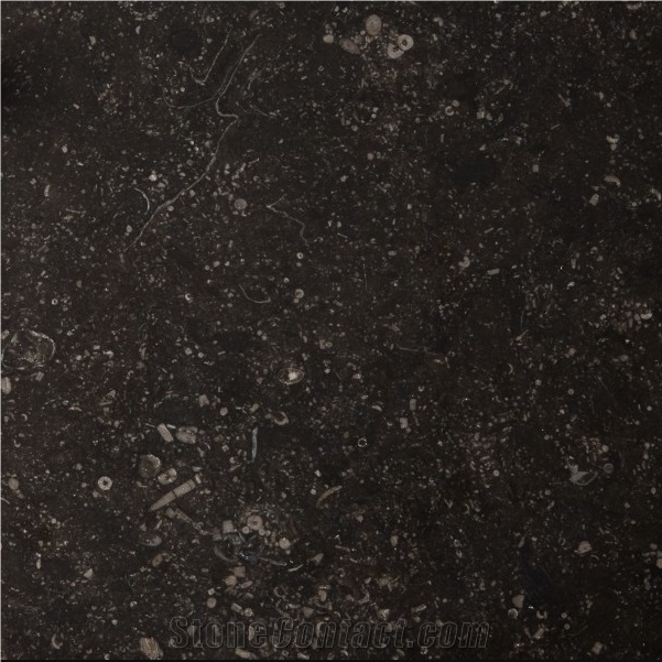 Noir Sully Limestone Tile