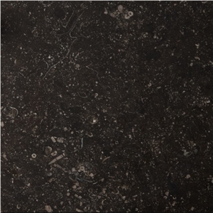 Noir Sully Limestone Tile