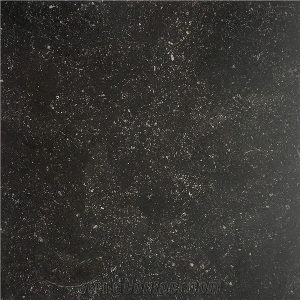 Noir Sully Limestone Tile