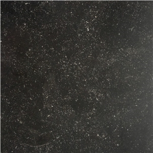 Noir Sully Limestone Tile