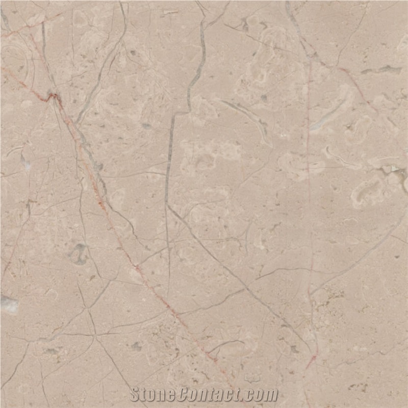 Nova Beige importance=