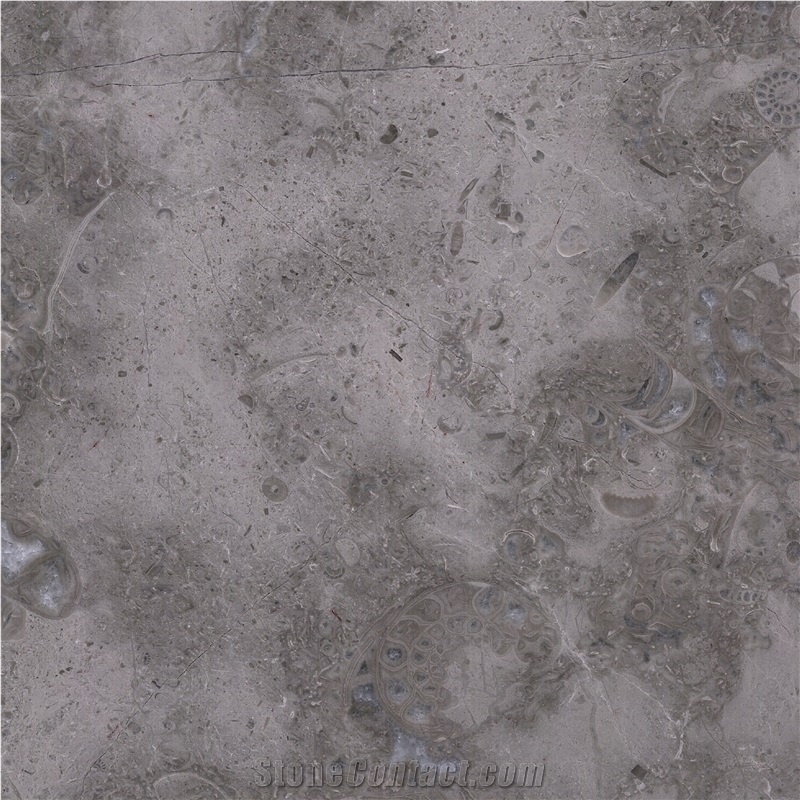 Ocean Gray Fossil importance=