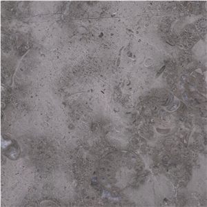 Ocean Gray Fossil