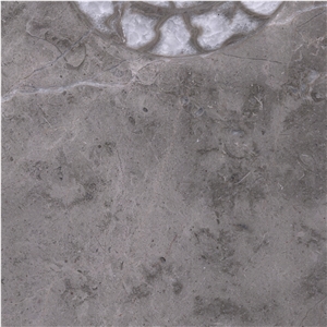 Ocean Gray Fossil Tile