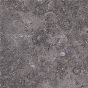 Ocean Gray Fossil Tile