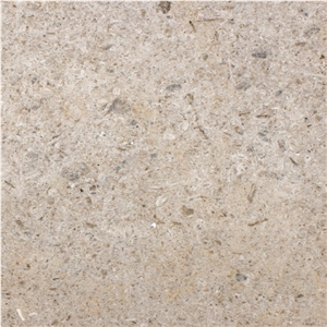 Ojinaga Limestone