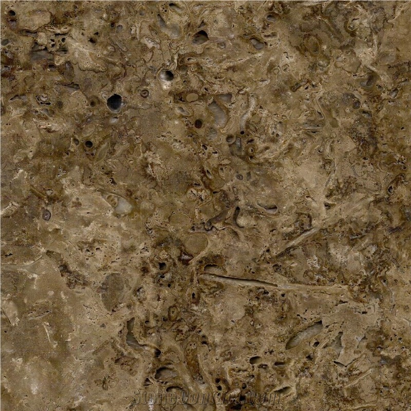 Olivillo Travertine importance=