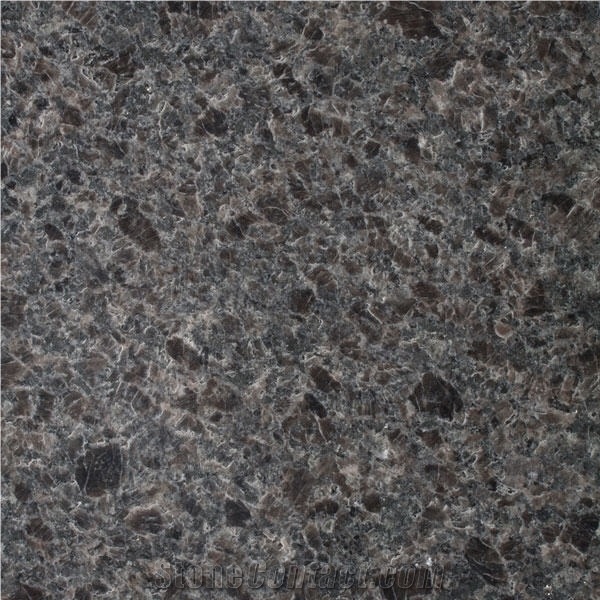 Olympic Dark Brown importance=