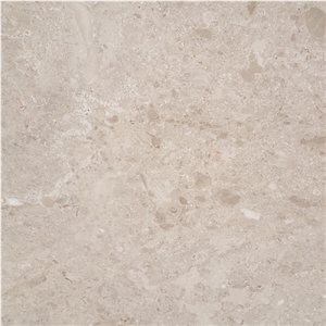 Oman Elegant Grey Marble