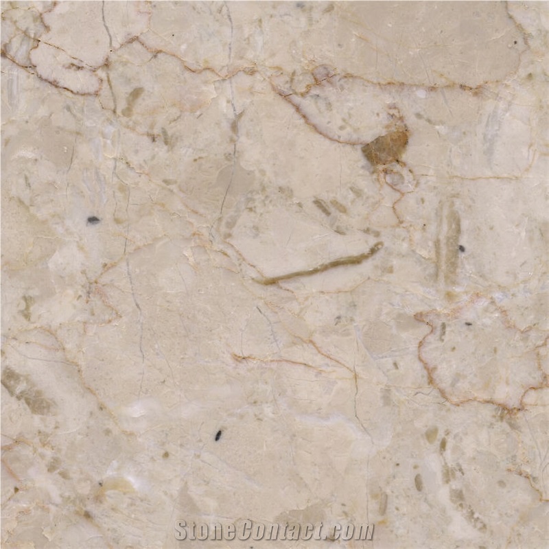 Oman Perlatino Marble importance=