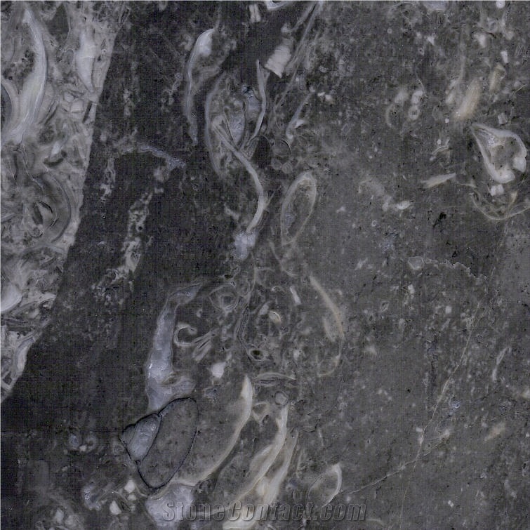 Oriental Grey Marble Tile