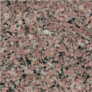 Orquidea Sabana Granite