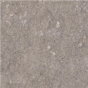 Paglierina Grigia Limestone