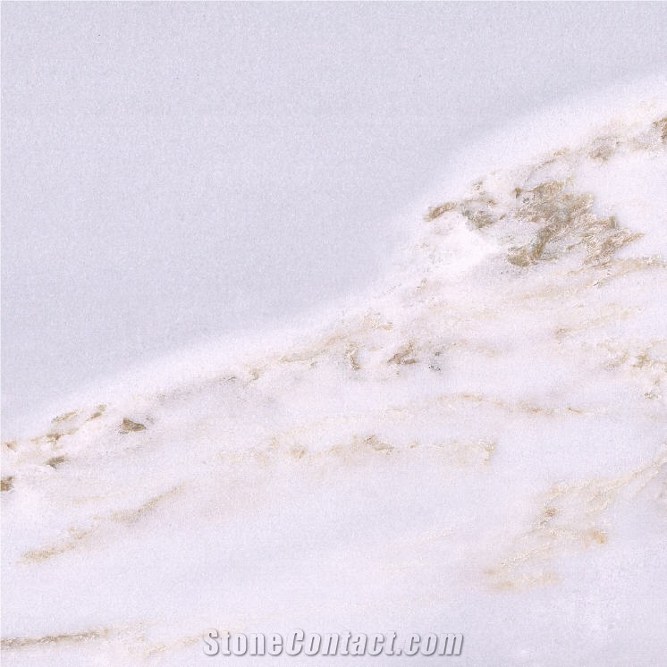 Vietnam Palissandro Bluette Marble importance=