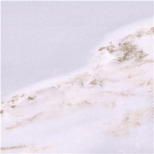 Vietnam Palissandro Bluette Marble