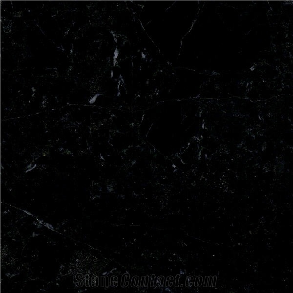 Palm Black Marble importance=