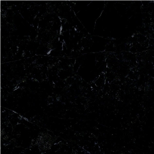 Palm Black Marble