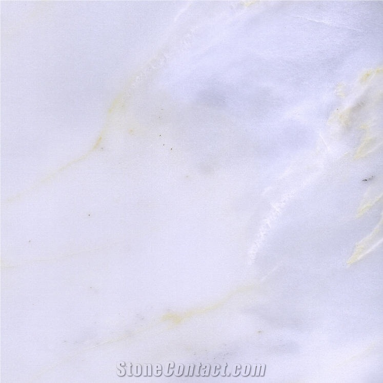 Panda White Tile