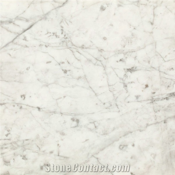Pantera Bianca Marble Tile