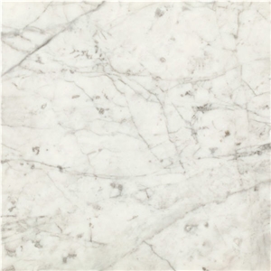 Pantera Bianca Marble Tile