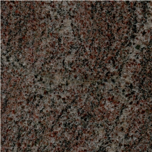Paradiso Tamin Granite Tile