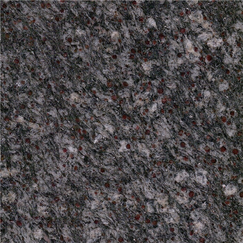 Passeirer Gneiss Tile