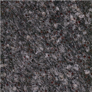 Passeirer Gneiss Tile
