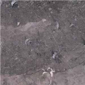 Patini Grey Marble