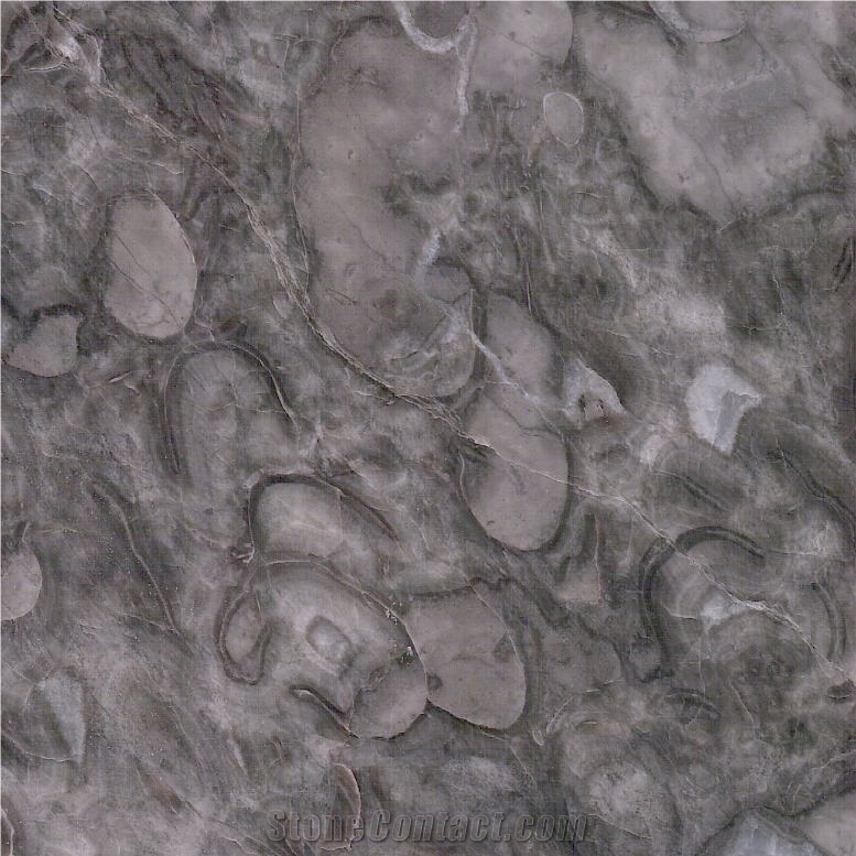 Patini Grey Marble Tile