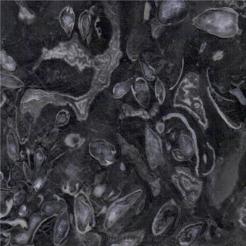 Peacock Eye Marble Tile