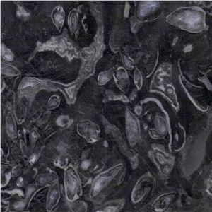Peacock Eye Marble Tile