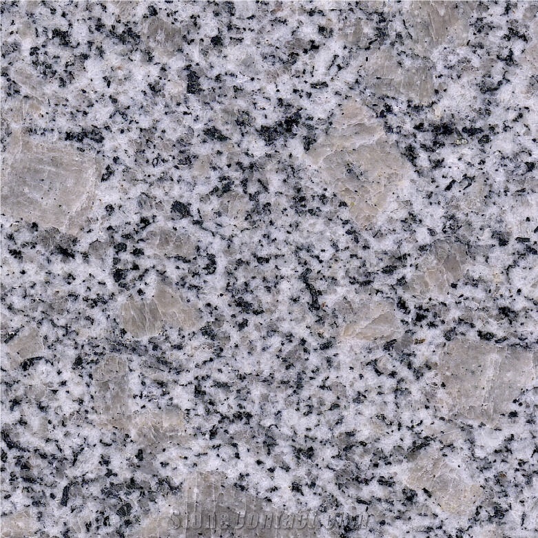 Pearl Flower Tile