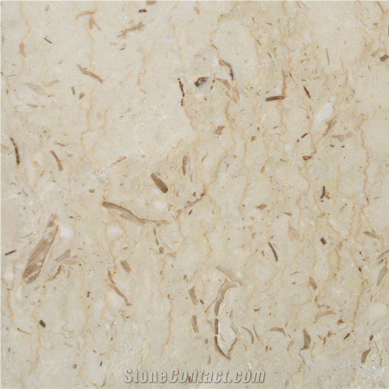 Perlato Cofano Marble importance=