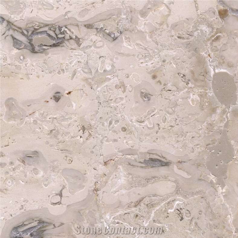 Perlato Dalmata importance=