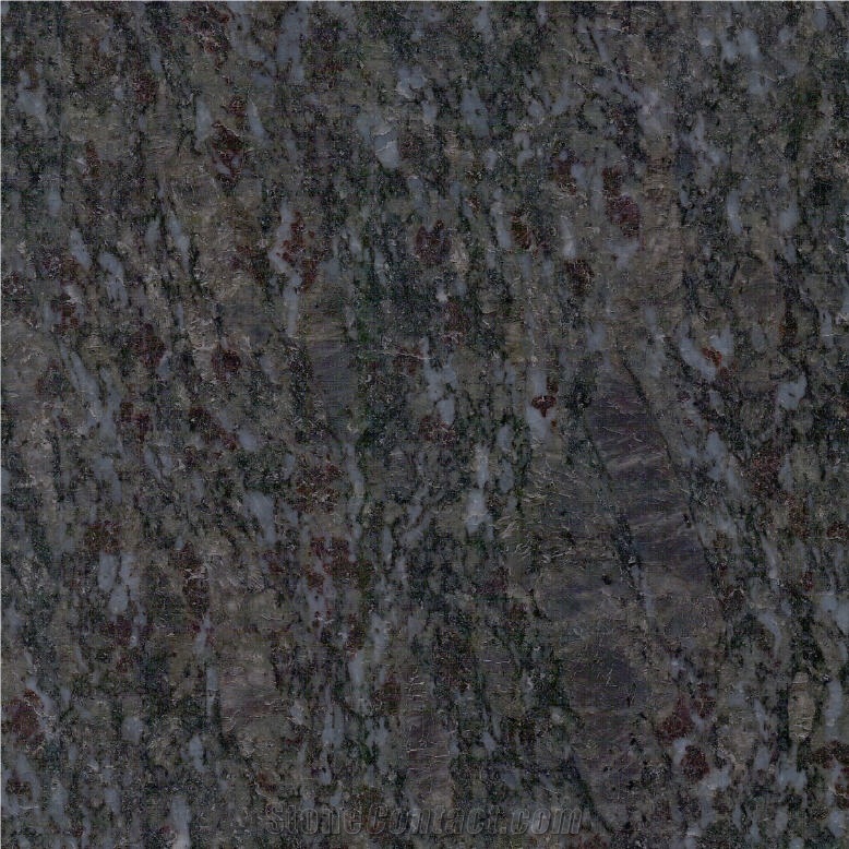 Phalaenopsis Granite importance=