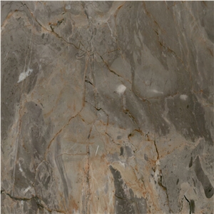 Picasso Grey Marble
