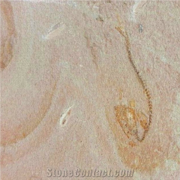 Piedra Canela importance=