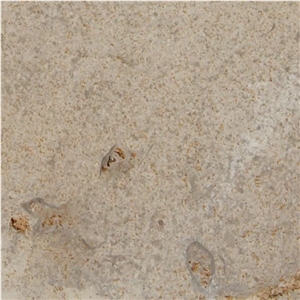 Pierre de Beaunotte Tile