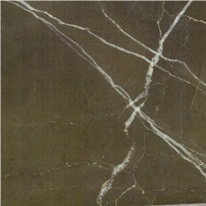 Pietra Brown Marble