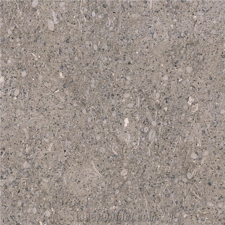Pietra di Vicenza Grigio Tile