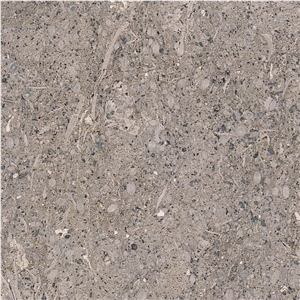 Pietra di Vicenza Grigio Tile