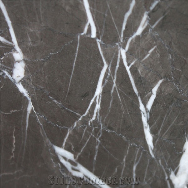 Pietra Gray Marble Tile