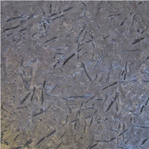 Pillarguri Phyllite Tile