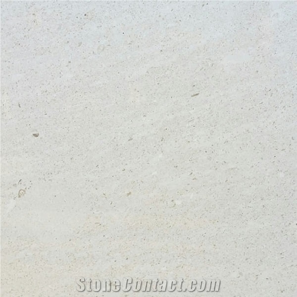 Planolit Limestone importance=