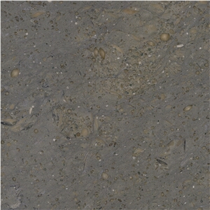 Platinum Gray Limestone