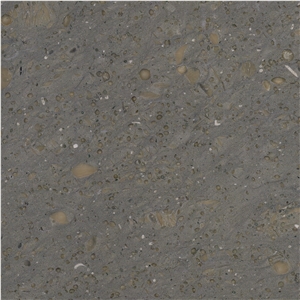 Platinum Gray Limestone Tile