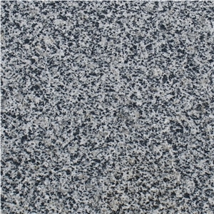 Pokostivske Granite Tile