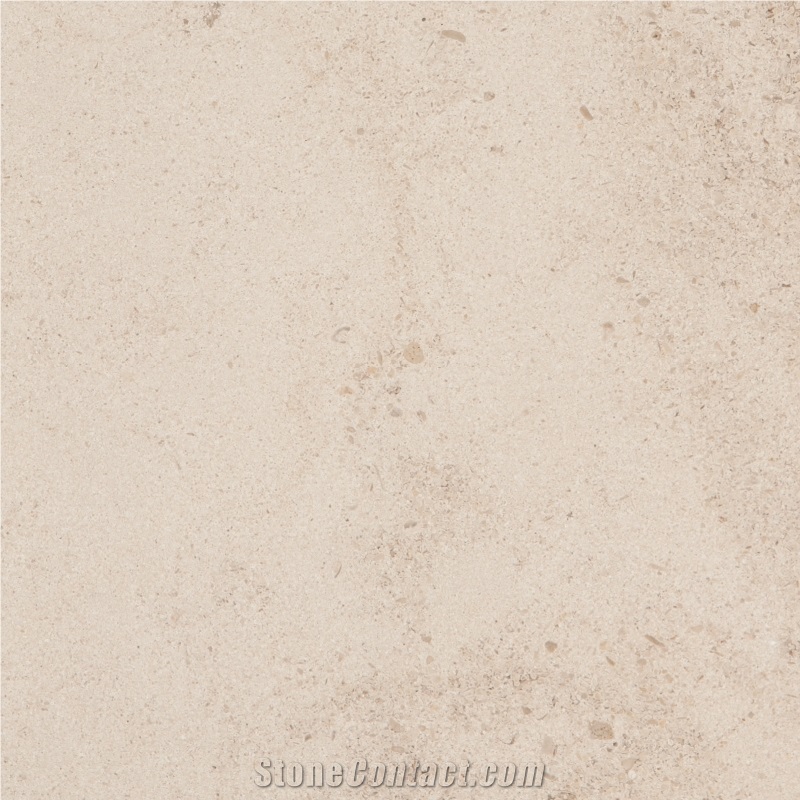 Portobello Limestone Tile